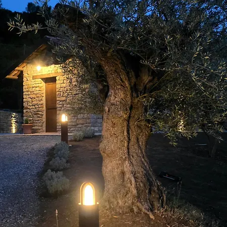 Bed & Breakfast Cascina Il Sogno *